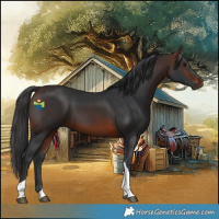 Horse Color:Brown Tobiano 