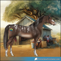 Horse Color:Powder White Liver Chestnut 