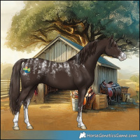 Horse Color:Powder White Liver Chestnut 