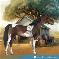 Horse Color:Brown Tobiano 