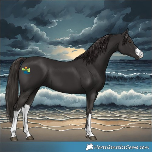 Horse Color:White Spotted Liver Chestnut 
