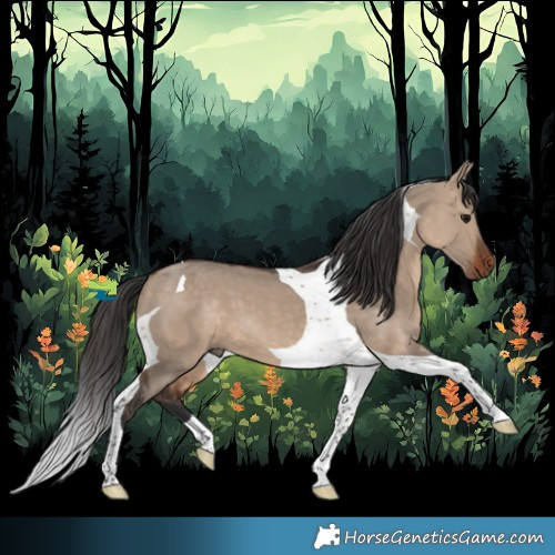 Horse Color:Brown Dun Tobiano 