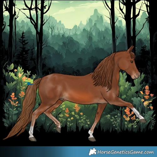 Horse Color:Chestnut Tobiano 
