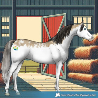 Horse Color:Sable Cream Champagne Mushroom Sabino Splash 