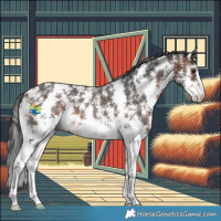 Horse Color:Brown Sabino 