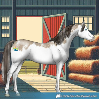 Horse Color:Classic Cream Champagne Sabino Splash
