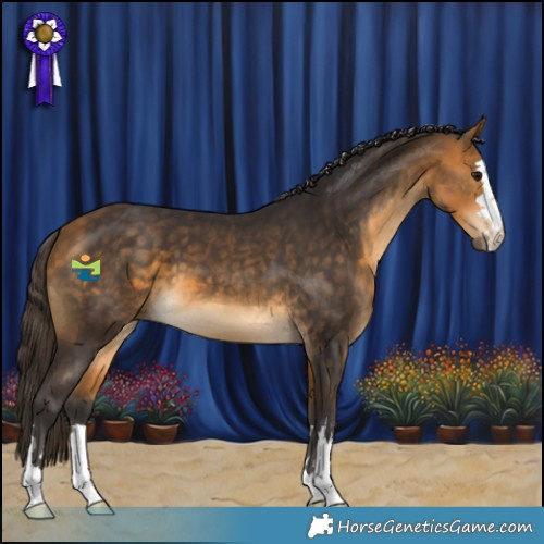 Horse Color:Buckskin 