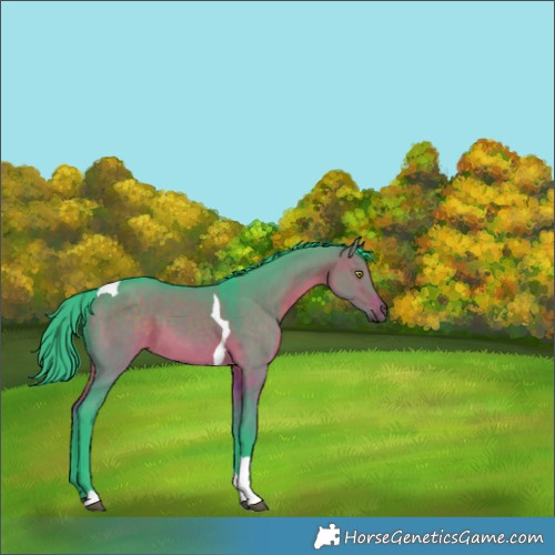 Horse Color:Watercolor Brown Dun Tobiano 