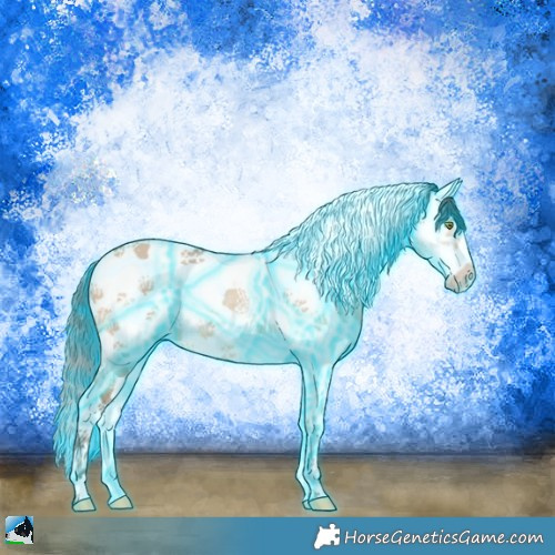 Horse Color:Thunderstruck Amber Champagne Dun Splash Tobiano Frame