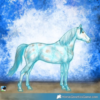 Horse Color:Thunderstruck Amber Champagne Dun Splash Tobiano Frame 