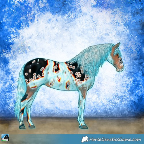 Horse Color:Thunderstruck Silver Bay Sabino Tobiano Near Leopard 