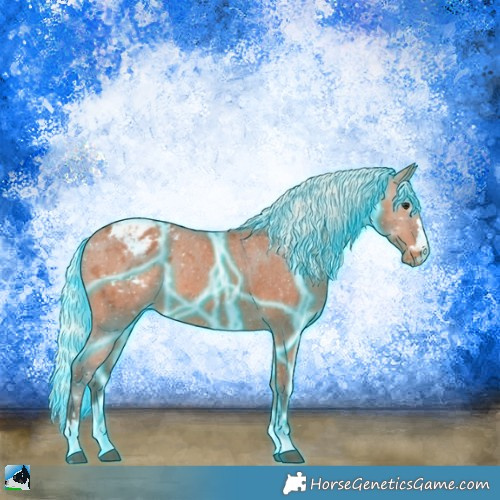 Horse Color:Thunderstruck Silver Bay Appaloosa 