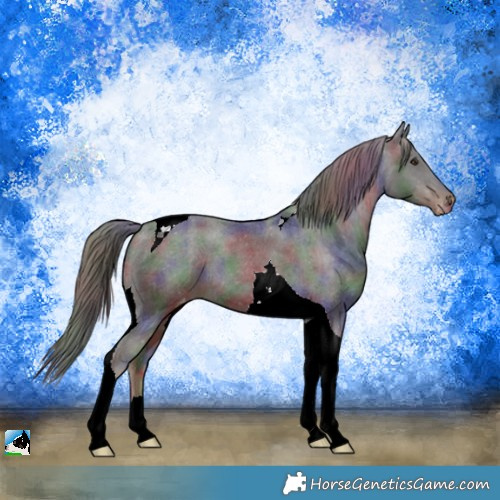 Horse Color:Nacre Liver Chestnut Tobiano Varnish 