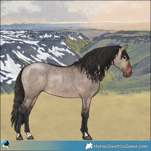 Horse Color:Brown Dun Brindle 