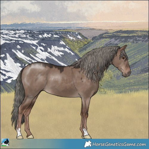 Horse Color:Liver Red Dun Mushroom