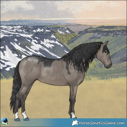 Horse Color:Grullo Mushroom 
