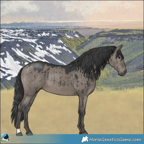 Horse Color:Grullo Mushroom Brindle 