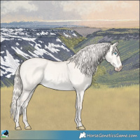 Horse Color:Cremello Dun Mushroom 