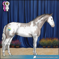 Horse Color:Silver Blue Roan Splash Frame Blanket