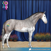 Horse Color:Brown Roan Splash Varnish Rabicano