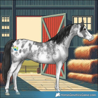 Horse Color:White Spotted Black Blanket Rabicano 