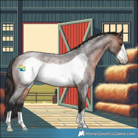 Horse Color:Brown Roan Frame Rabicano 