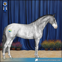 Horse Color:Smoky Blue Roan Sabino