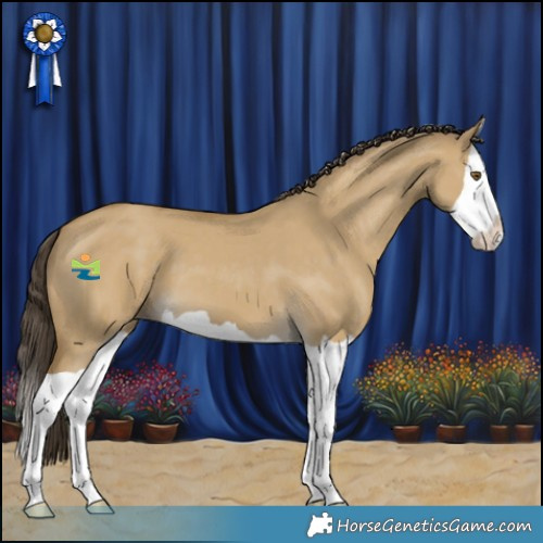Horse Color:Classic Cream Champagne Dun Splash 