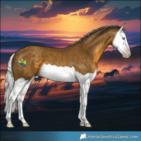Horse Color:Gray Silver Classic Cream Champagne Splash 