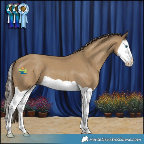 Horse Color:Classic Cream Champagne Splash 