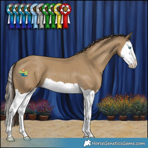 Horse Color:Classic Cream Champagne Splash 