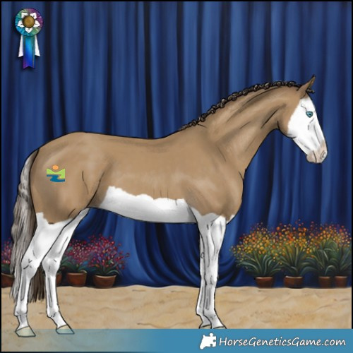 Horse Color:Classic Cream Champagne Splash 