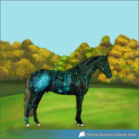Horse Color:ERROR: UNKNOWN ANOMALY and ERROR: UNKNOWN ANOMALY