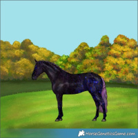 Horse Color:ERROR: UNKNOWN ANOMALY and ERROR: UNKNOWN ANOMALY