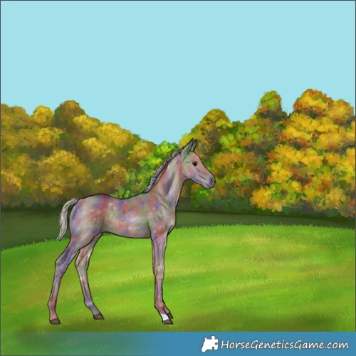 Horse Color:Nacre Silver Black 