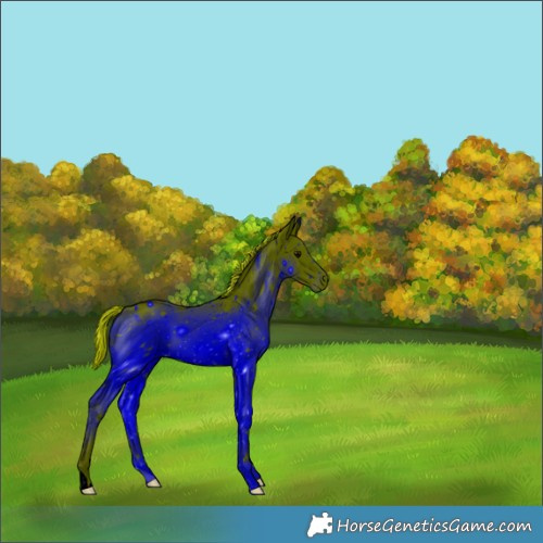 Horse Color:ERROR: UNKNOWN ANOMALY