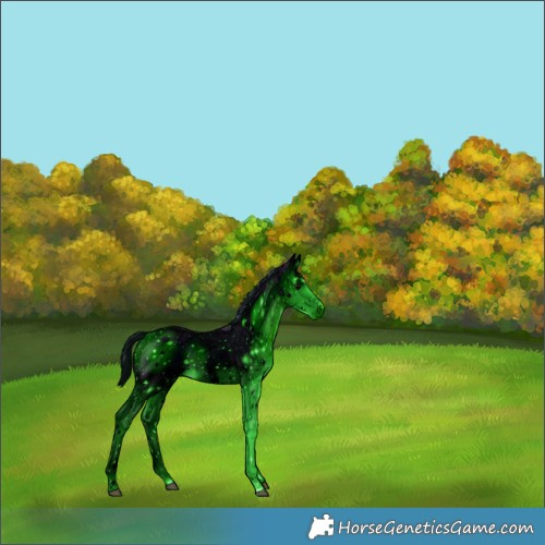 Horse Color:ERROR: UNKNOWN ANOMALY