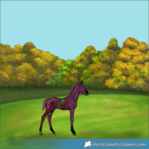 Horse Color:ERROR: UNKNOWN ANOMALY