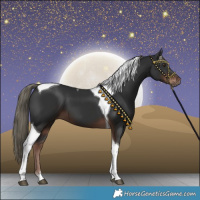 Horse Color:Liver Chestnut Mushroom Tobiano