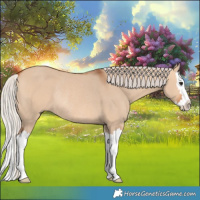 Horse Color:Silver Bay Dun Splash Rabicano 
