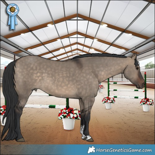 Horse Color:Brown Dun Sabino 