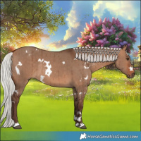 Horse Color:White Spotted Silver Brown Dun Rabicano Brindle
