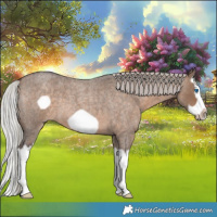 Horse Color:Silver Brown Roan Dun Splash Frame 