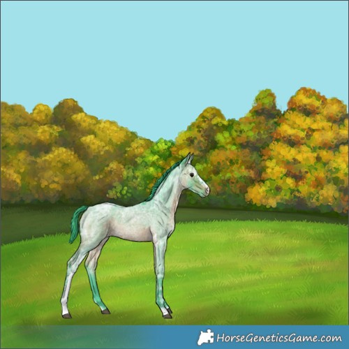 Horse Color:Watercolor Brown Ice Roan Sabino 