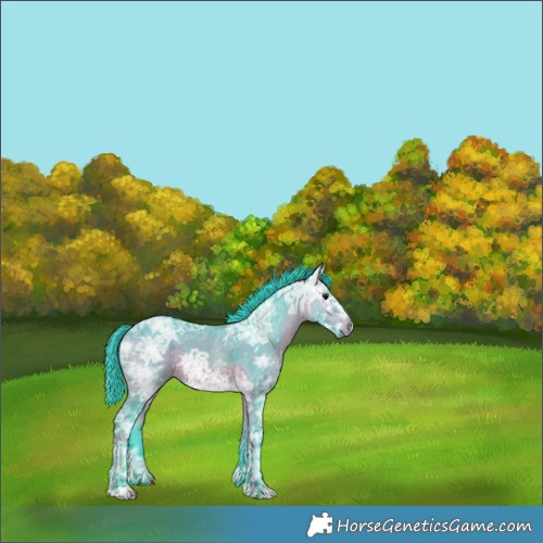 Horse Color:Watercolor Bay Ice 