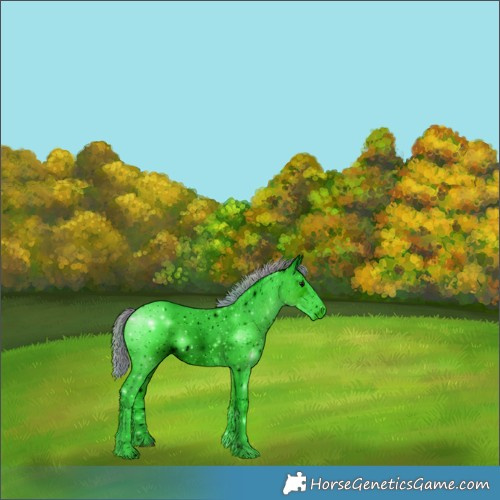 Horse Color:ERROR: UNKNOWN ANOMALY