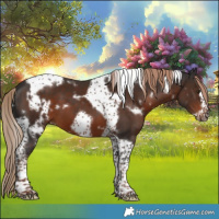 Horse Color:White Spotted Liver Chestnut Tobiano Frame 