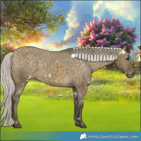 Horse Color:White Spotted Silver Buckskin Dun Varnish