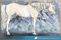 Horse Color:Silver Buckskin Pearl Dun Splash Tobiano 