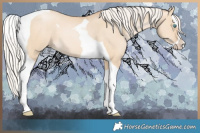 Horse Color:Silver Buckskin Pearl Dun Splash Tobiano 